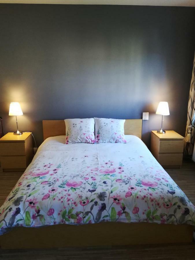 Jacaranda De Banaudon - Chambres D'Hotes- Petits Dejeuners Inclus -Guest Rooms , Breakfast Included - Luneville Coeur De Ville 外观 照片